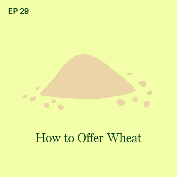 #29: Wheat: How to Introduce Your Baby to this Potentially Allergenic Food