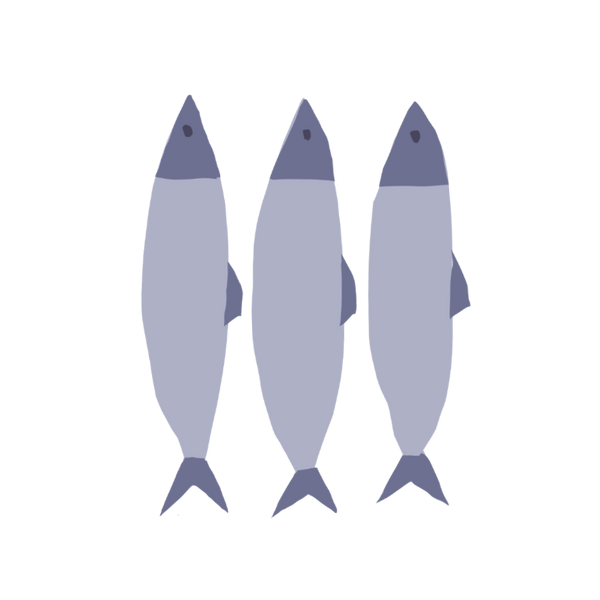 Sardines