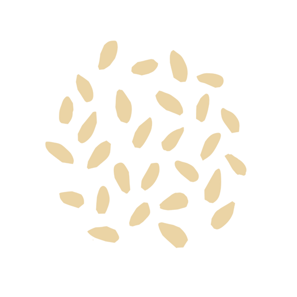 Sesame