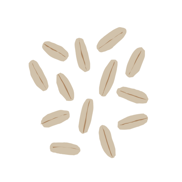 Barley