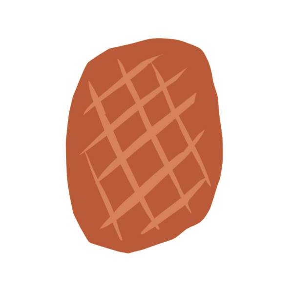 Bison