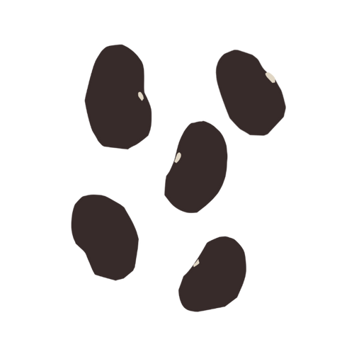 Black Beans
