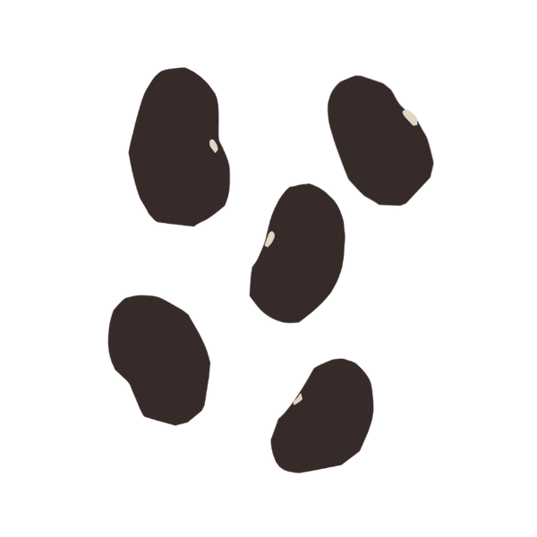 Black Beans