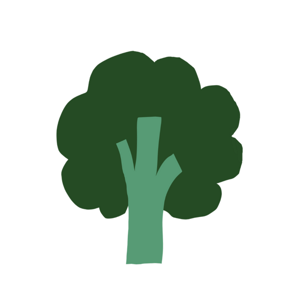 Brocolli