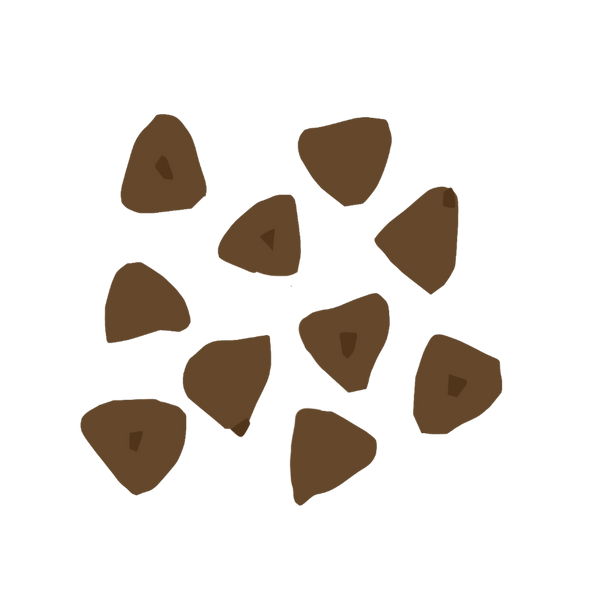 Buckwheat