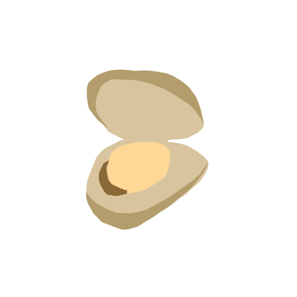 Clams