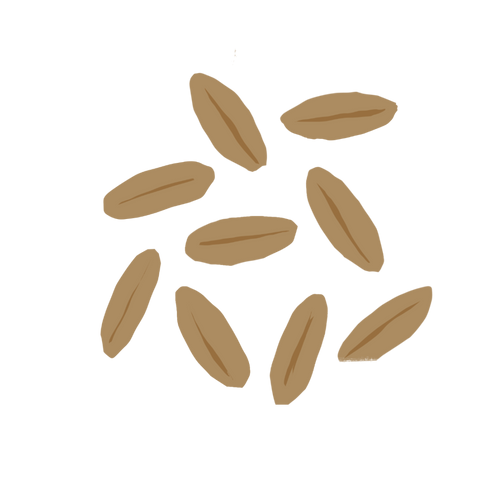 Farro