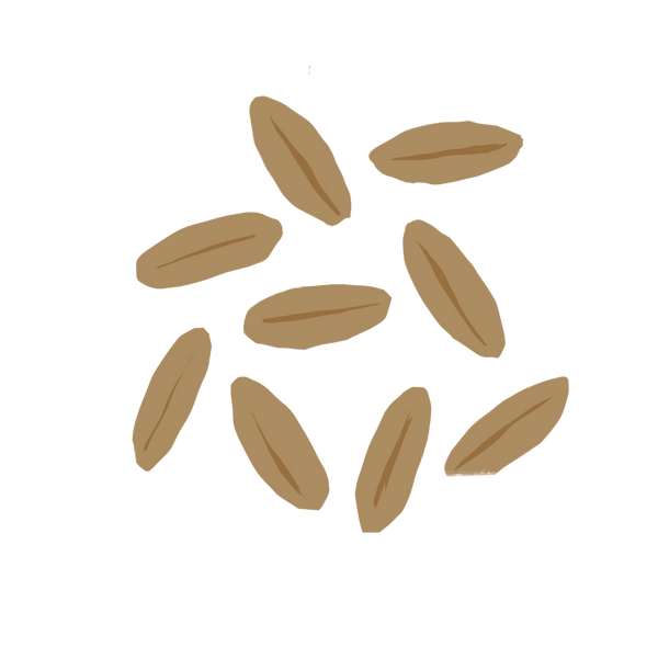Farro