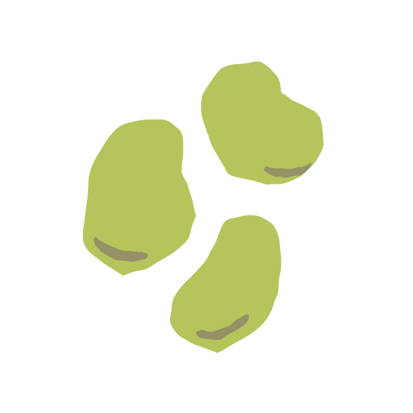 Fava Beans