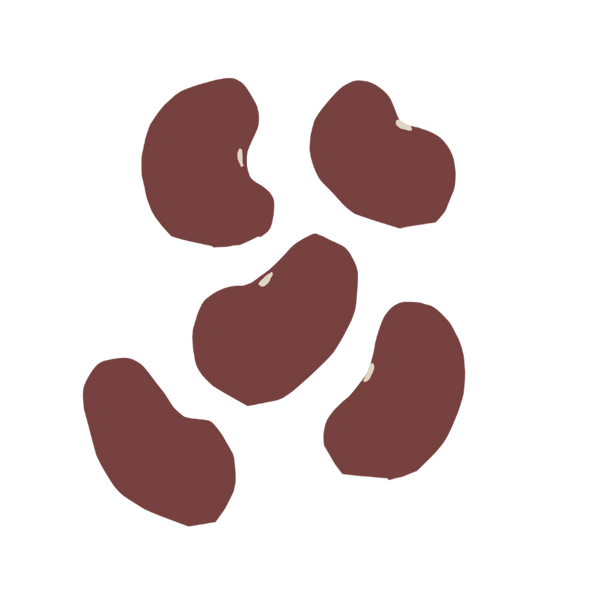 Kidney Beans