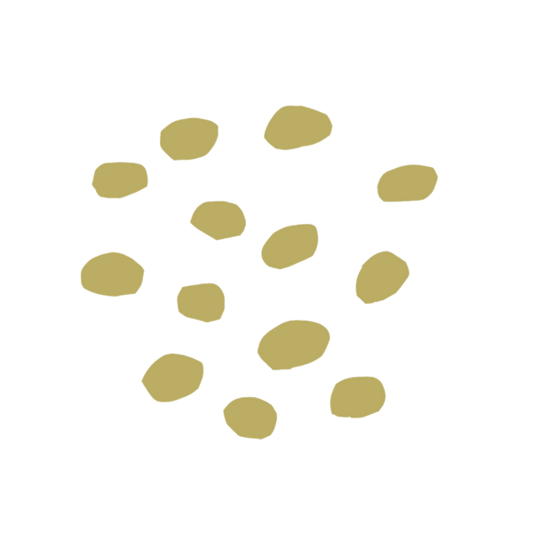 Lentils
