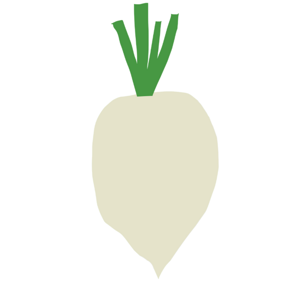 Parsnip