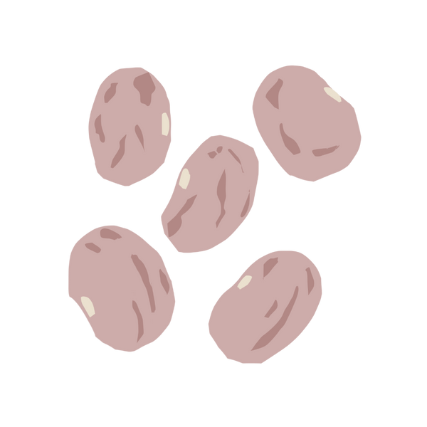Pinto Beans