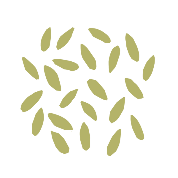 Rye