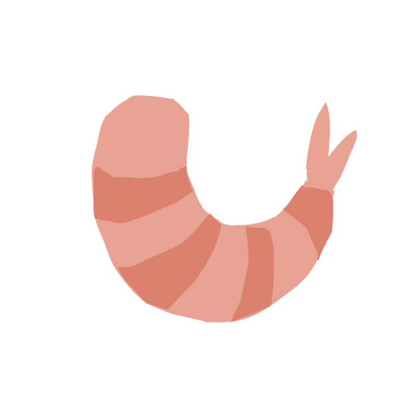 Shrimp