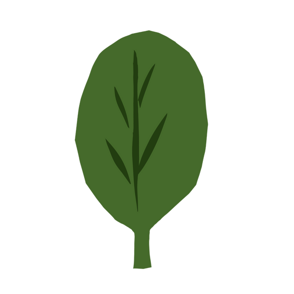 Spinach