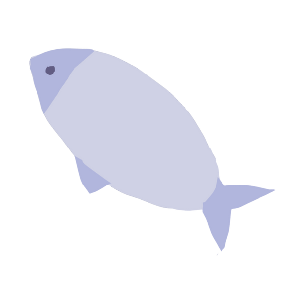 White Fish